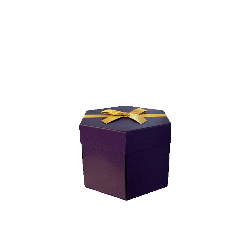 Explosion Box